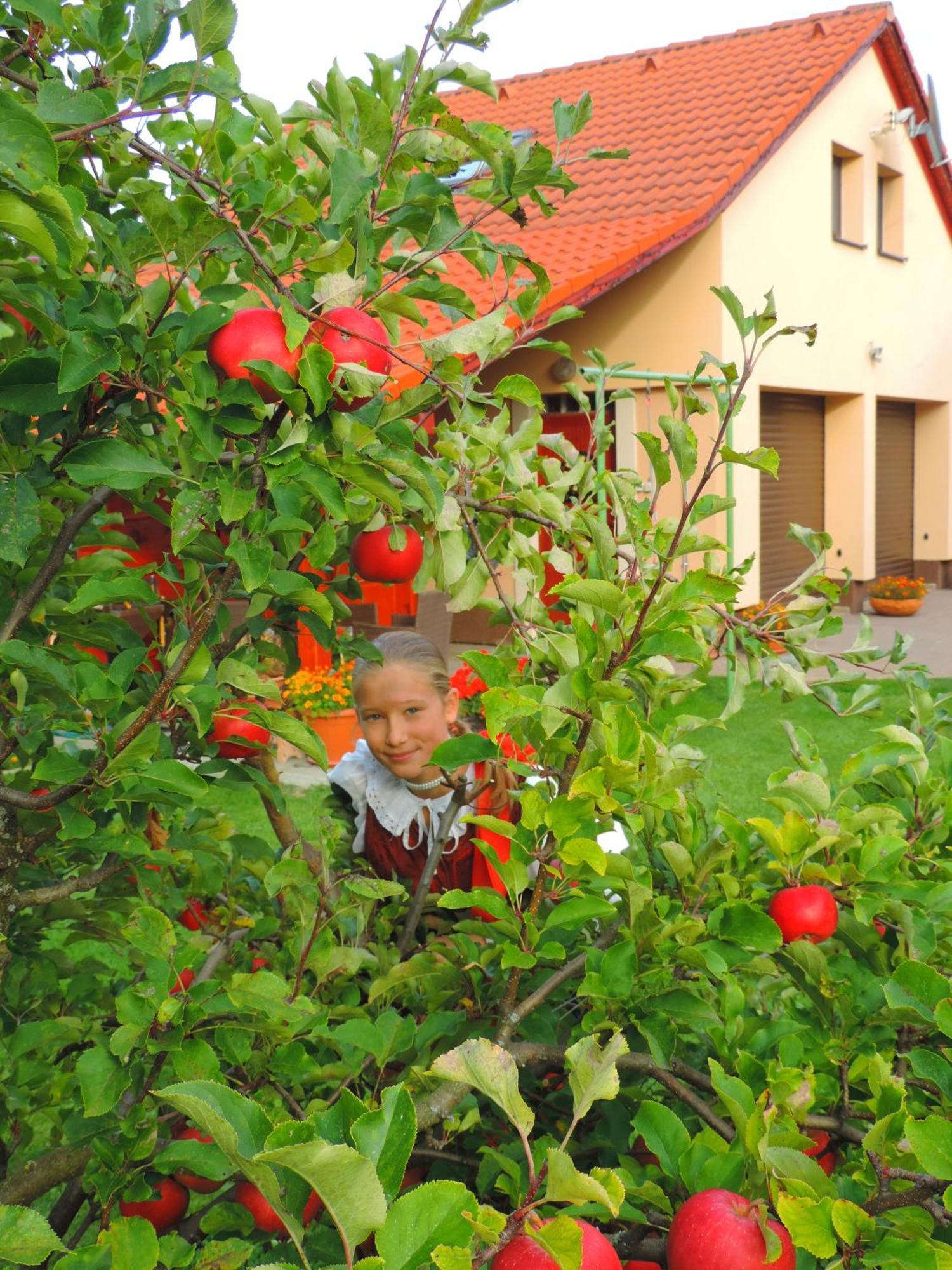 Holiday Home Linda Ліптовський Мікулаш Екстер'єр фото